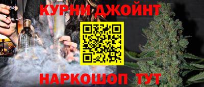 гашик Янаул
