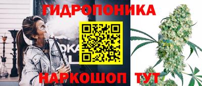 гашик Янаул