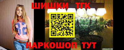 гашик Янаул